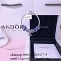 Wholesaler Pandora Chain Bracelets Pandora Bangles Pandora earrings Jewelry 18