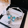 Wholesaler Pandora Chain Bracelets Pandora Bangles Pandora earrings Jewelry 19