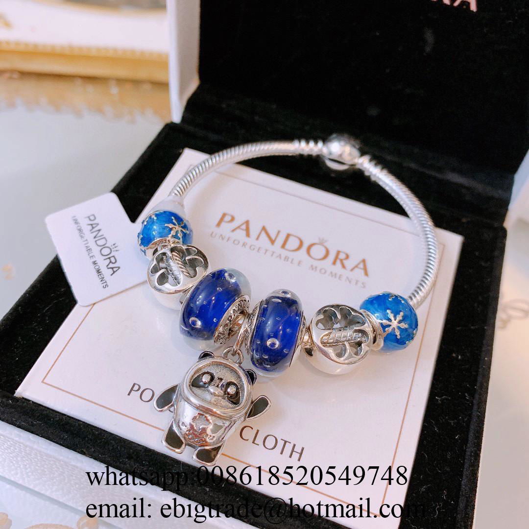 Wholesaler Pandora Chain Bracelets Pandora Bangles Pandora earrings Jewelry 5
