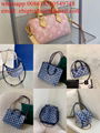 LV mini bags