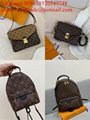 Louis Vuitton Shoulder Bags LV Cross Body Bags LV Tote Bags LV mini bags men