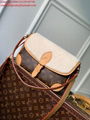 wholesaler Louis Vuitton bags