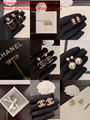 Wholesaler Cha-nel COCO Brand Earrings Pearl necklace hair barrette bracelets 8