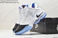 Nike lebron NXXT Gen Basketball Sneakers Wholesaler Nike shoes for men 