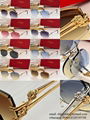 Cheap Cartier Sunglasses Online store discount Cartier Sunglasses Cartier Glass