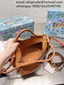       Small Paseo bag Cheap       mini bags Wholesaler       Handbags Price 16
