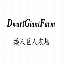 Changzhou shimeiya dianzi shangwu youxiangongsi Changzhou shimeiya dianzi shangwu youxiangongsi