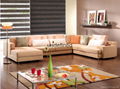 Classic Design Rainbow Roller  Blinds