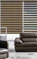 Furnishing Blackout Zebra Blinds