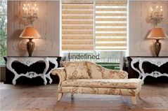 Fashionable Printed Zebra Blinds