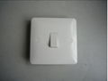 Bakelite Wall Switch with good quality and competitive price 3