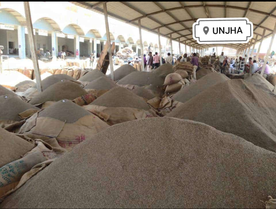 Cumin seed from india 002 vishwam (India Manufacturer) Spices