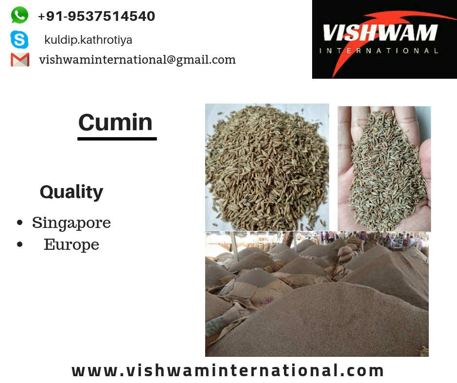 Cumin seed from india 002 vishwam (India Manufacturer) Spices