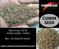 Cumin seed from india 3