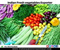 Fresh vegetables exporter from India