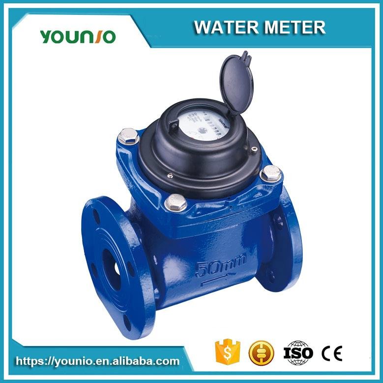 Younio Removable Horizontal Dry Type Woltman Water Meter
