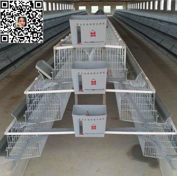 poultry layer cage for chicken farm