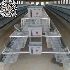 poultry layer cage for chicken farm