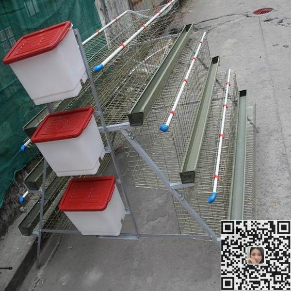 poultry layer cage for chicken farm 2
