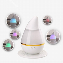 Aroma Humidifier Air Diffuser Purifier Lonizer Atomizer