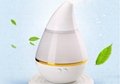 Aroma Humidifier Air Diffuser Purifier Lonizer Atomizer  3