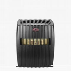 Anion air purifier