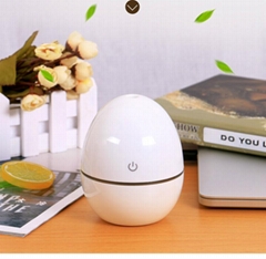 Mini usb humidifier