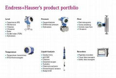 E+H Coriolis Mass Flowmeter 80F40-AD2SAAAAAABA