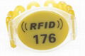 RFID Plastic Wristband SJ001 2