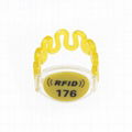 RFID Plastic Wristband SJ001 5