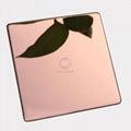 stainless steel mirror champagne gold 2