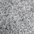 G623 GREY COLR GRANITE