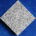 G623 GREY COLR GRANITE  2