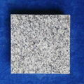 G623 GREY COLR GRANITE  4