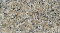 Polished Natural Stone Yellow beige Granite polished Slabs Tiles Paving Wall Cla 2