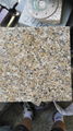 Polished Natural Stone Yellow beige Granite polished Slabs Tiles Paving Wall Cla 5