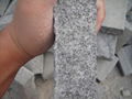 G682 split face rusty granite cobblestone paver