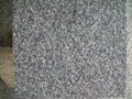 G688 Granite Tiles and Slabs China Grey Granite Flooring Tiles Wall Tiles Granit 2