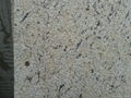 Giallo Santa Cecilia Granite Slabs and Tiles Brazil Yellow Granite Tiles 3