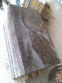 Tan Brown Granite Slabs and Tiles Brown Polished Granite Floor Tiles 2