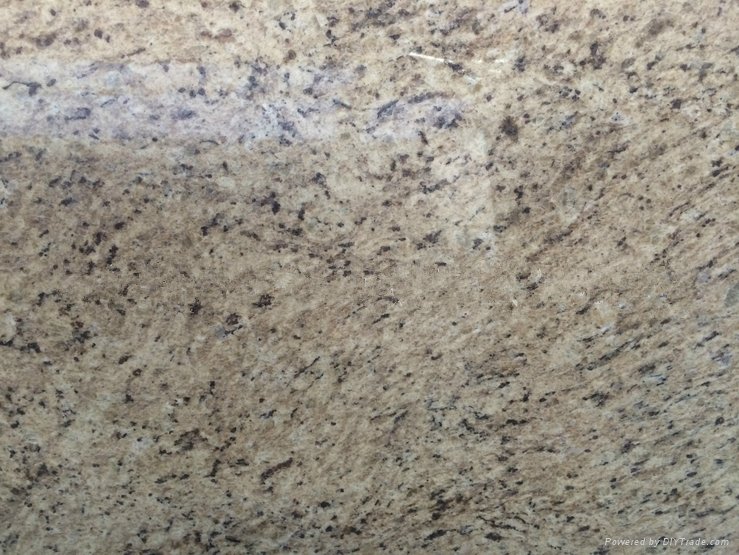 Hotsale Giallo Ornamental Granite Countertop Bar Top Giallo Ornamental Beige Gra 3