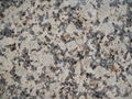 Natural Polished Chrysanthemum Yellow Granite Tile