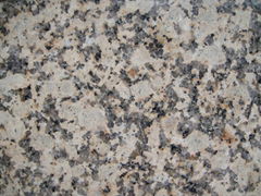 Natural Polished Chrysanthemum Yellow Granite Tile