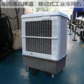 雷豹移动降温冷风机MFC16000厂家批发空调扇