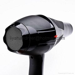 2000W Professional High Power Hair Dryer With Over Heating Protection