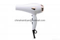 Cool Shot Function Salon Electric Hair Dryer 1