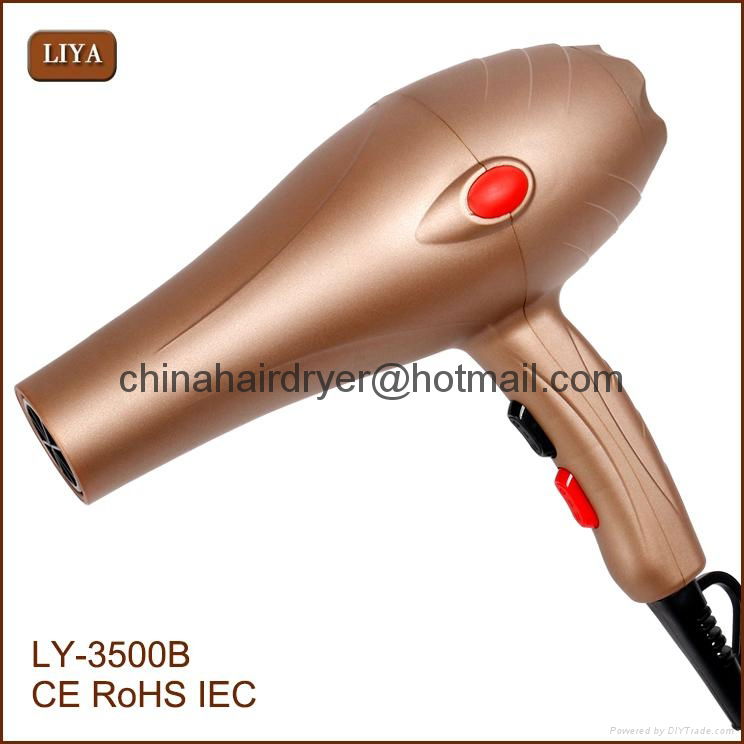 Professional Wholesale Salon Hair Dryer 3