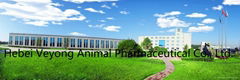 HEBEI VEYONG PHARMACEUTICAL CO., LTD.