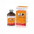 GMP 15% Amoxicillin injection for antibiotic 100ml packing