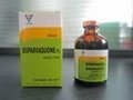 5% Buparvaquone injection 50ml packing